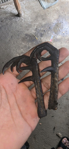 ខ្នាយមាន់ព្រៃ