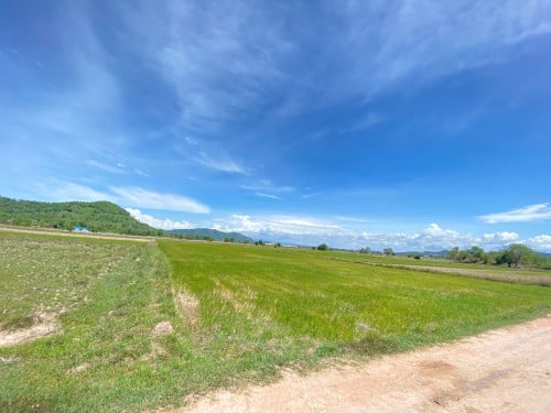 ដីកែប លក់បន្ទាន់