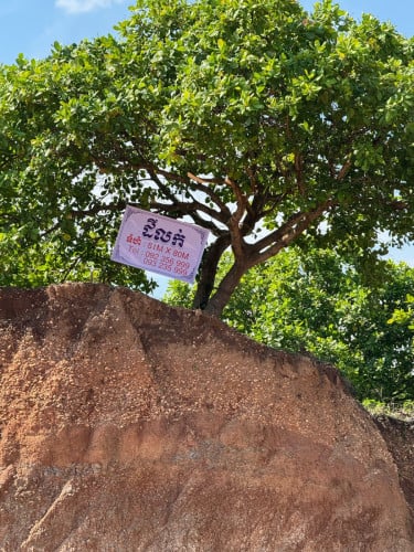 ដីលក់