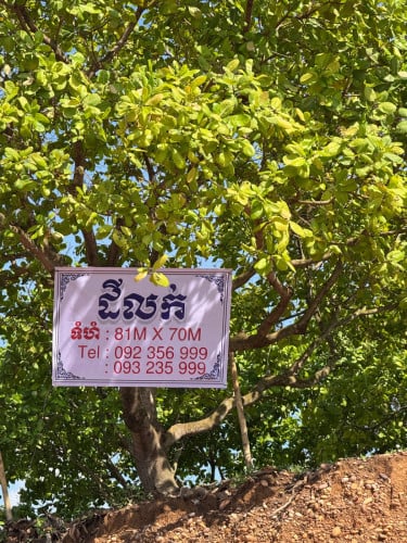 ដីលក់