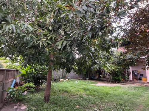 ផ្ទះនិងដីលក់នៅជាប់វិទ្យល័យឧដុង្គ