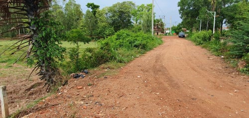 ដីព្រះប្រសព្វ 11m x 55m ប្លង់រឹង