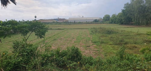 ដីព្រះប្រសព្វ 11m x 55m ប្លង់រឹង