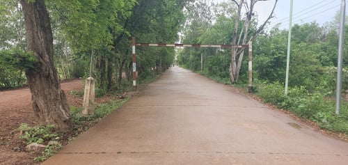 ដីព្រះប្រសព្វ 11m x 55m ប្លង់រឹង