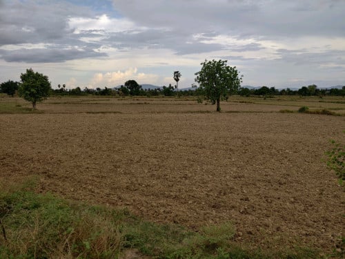 ដីលក់បន្ទាន់ 12$/m²