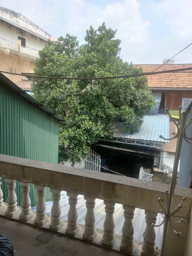 ផ្ទះជួល សម្រាកសិស្សនិស្សិត 60$ ទីតាំងនៅជិតផ្សារ និង កណ្ដាលក្រុង 087 956266