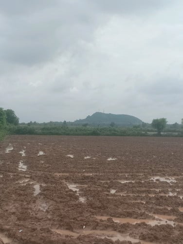 ដីលក់ជាប់ផ្លូវជាតិ លេខ 6A