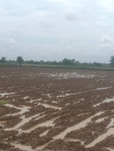 ដីលក់ជាប់ផ្លូវជាតិ លេខ 6A