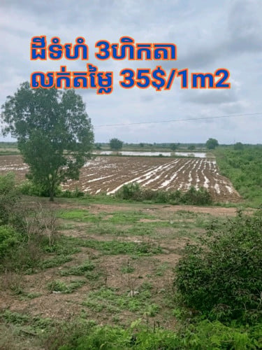 ដីលក់ជាប់ផ្លូវជាតិ លេខ 6A