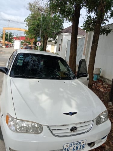 ឡានCorolla 98 លក់ឡានស្អាត់ ម៉ាសុីប្រអប់លេខស្អាត់ រត់ស្មួតល្អ លក់ប្រញ៉ាប់បងប្អូន ធូរ