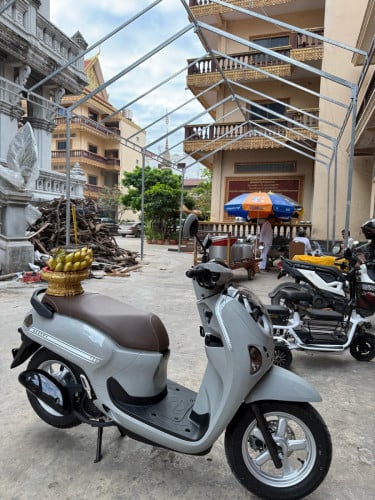 លក់Scoopy ឆ្នាំ2026