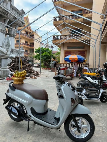 លក់Scoopy ឆ្នាំ2026