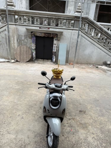 លក់Scoopy ឆ្នាំ2026