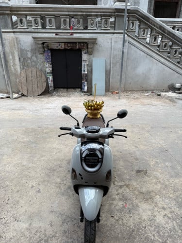លក់Scoopy ឆ្នាំ2026