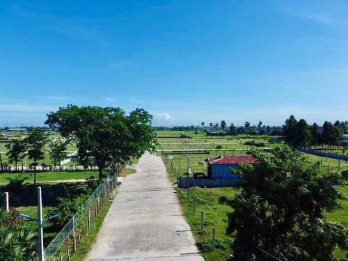 👉ដីនឹងកញ្ចុះ លក់
