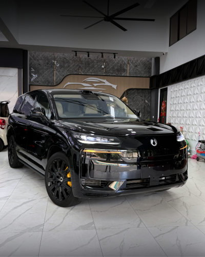 2025 Denza N9 e3 Black Edition