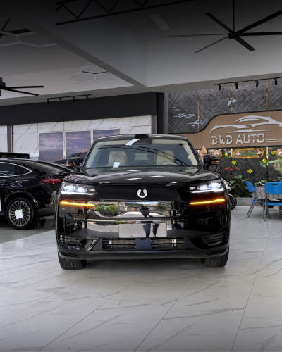 2025 Denza N9 e3 Black Edition