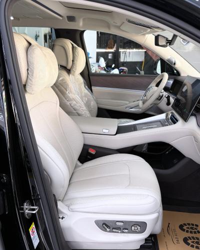 2025 Denza N9 e3 Black Edition