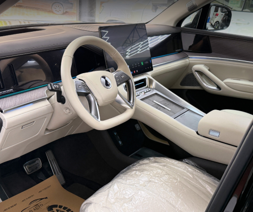 2025 Denza N9 e3 Black Edition