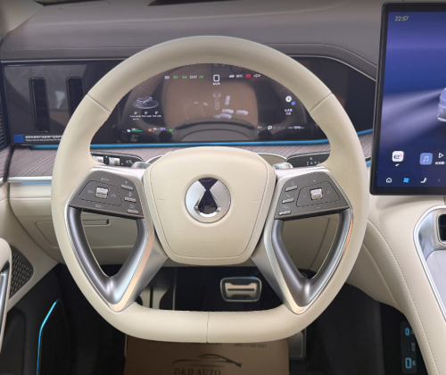 2025 Denza N9 e3 Black Edition