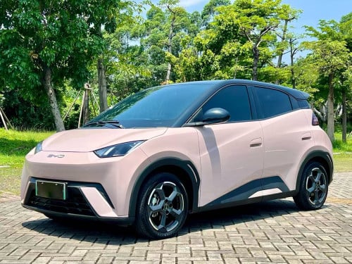 2024 BYD Seagull EV （3years warranty）