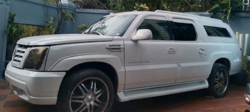 Car moto for Rent / Sale មានច្រើន