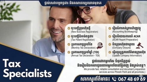Consultant of business registration, accounting and taxation