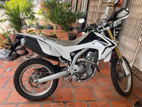 CRF លក់