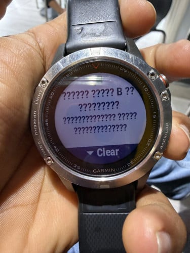 Garmin Fenix 5 Sapphire Crystal Stainless steel