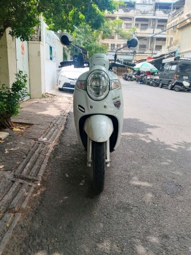 Honda scoopy 2019