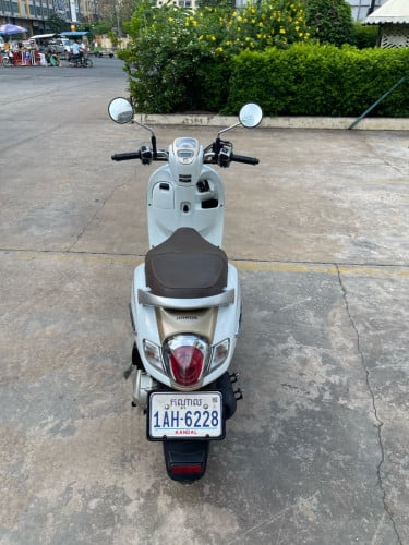 Honda Scoopy 2020 ម៉ូតូក្រុមហ៊ុន មានកាតគ្រីត្រឹមត្រូវ