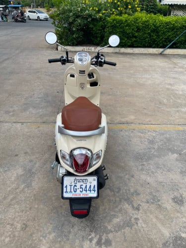 Honda Scoopy 2028 មានកាតគ្រីត្រឹមត្រូវ
