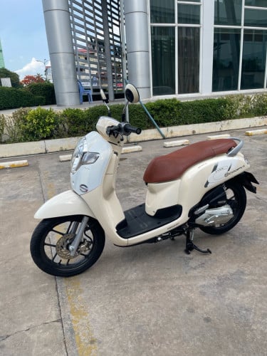 Honda Scoopy 2028 មានកាតគ្រីត្រឹមត្រូវ