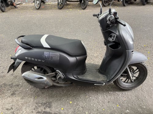 Honda scooyi
