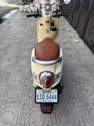 Honda scooyi