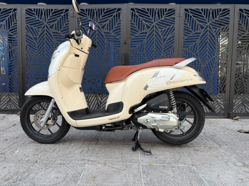 Honda scooyi