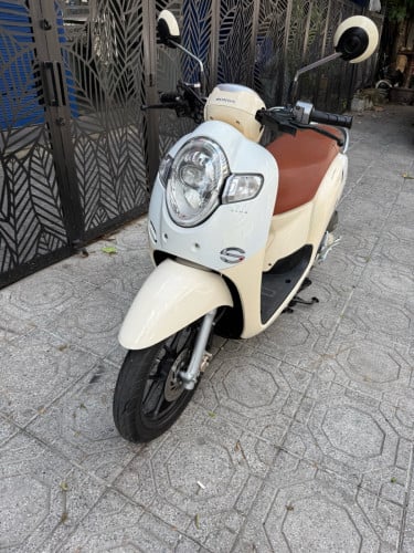 Honda scooyi