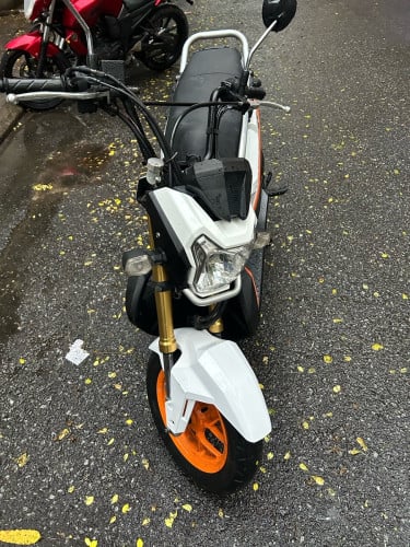 Honda zoomer X zin year 2017 មានពន្ធ