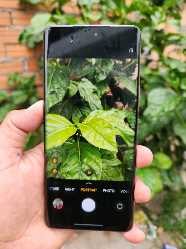 Honor X9C 12g/256g_Global(វៃដូរបាន)👉$155
