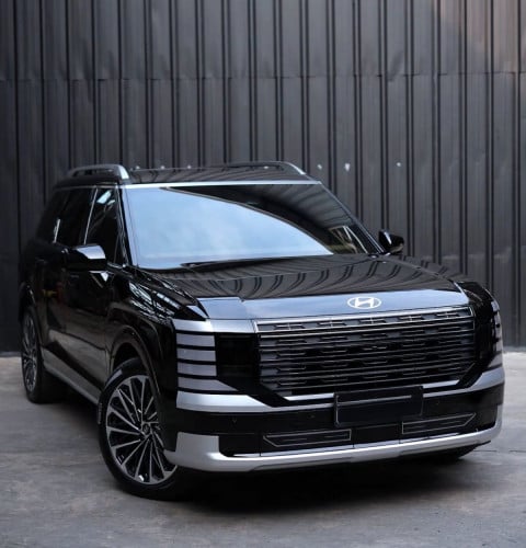 Hyundai PALISADE calligraphy