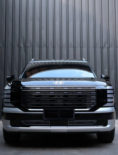 Hyundai PALISADE calligraphy