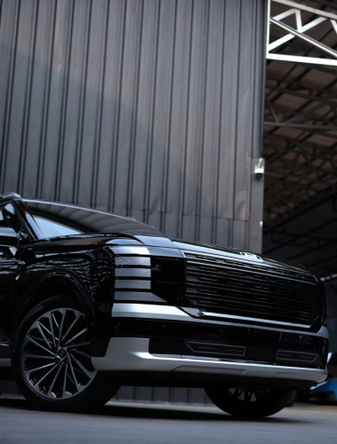 Hyundai PALISADE calligraphy