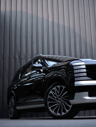 Hyundai PALISADE calligraphy