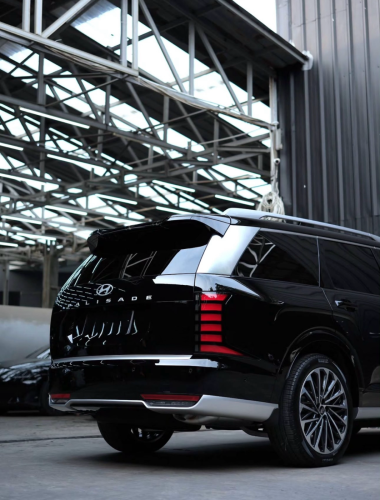 Hyundai PALISADE calligraphy