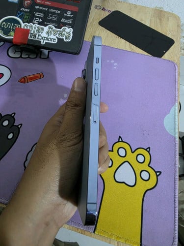 iphone 13 Pro Max (256GB) 98.5%