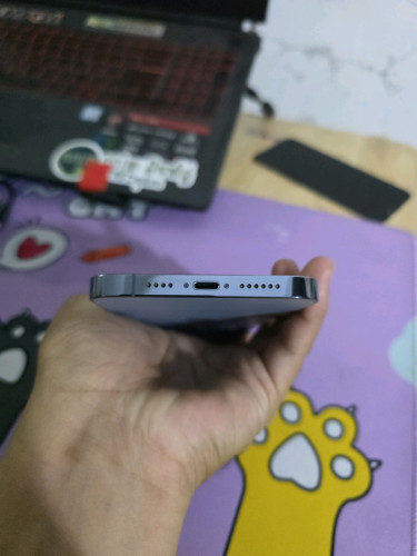 iphone 13 Pro Max (256GB) 98.5%