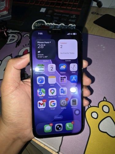 iphone 13 Pro Max (256GB) 98.5%