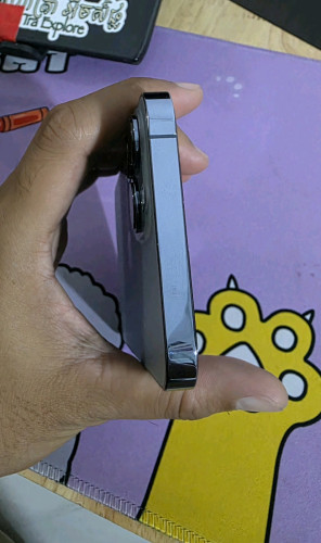 iphone 13 Pro Max (256GB) 98.5%