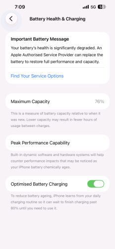 iphone 13 Pro Max (256GB) 98.5%