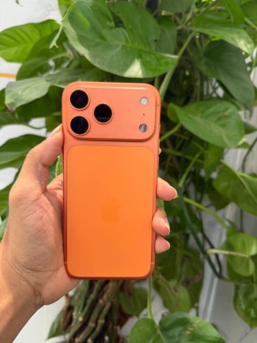 iPhone 17 pro max សំណុំហ្សុីន